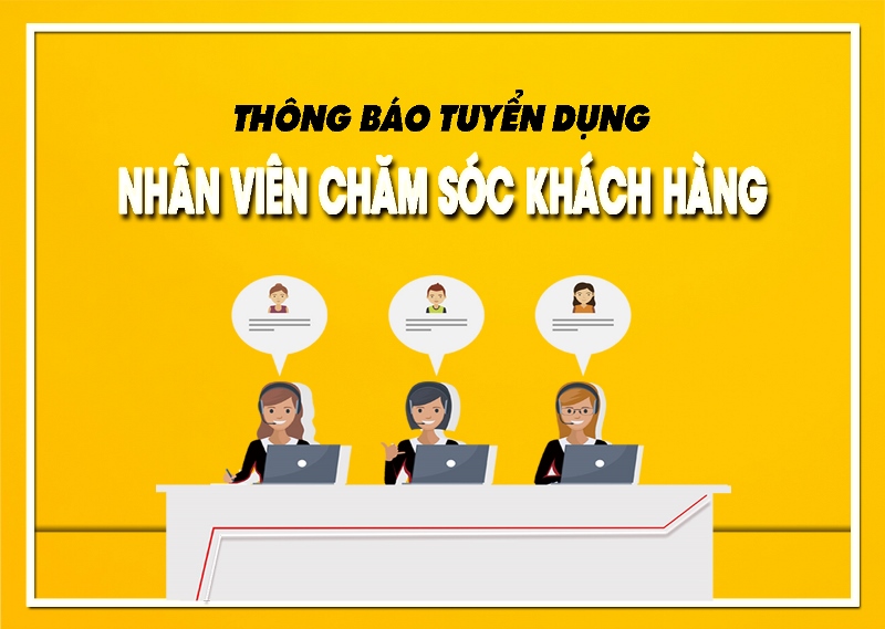 lĩnh vực hoạt động